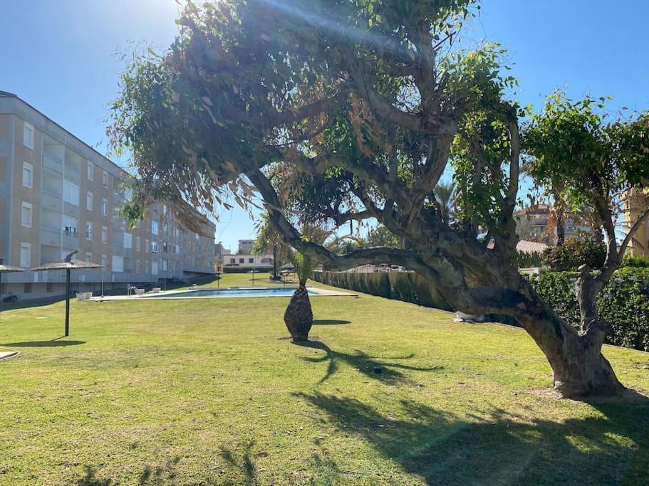 Nautilus Hygge Home Torrevieja Eksteriør billede